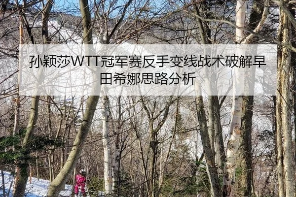 孙颖莎WTT冠军赛反手变线战术破解早田希娜思路分析